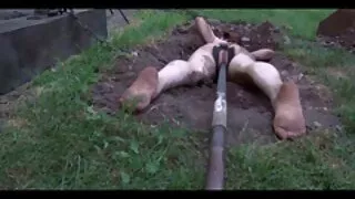 Fată goală cu Tate Mari dă un negru clipuri porno cu babe